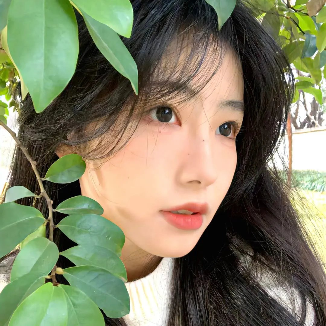 亲爱的女士