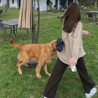 迷失方向